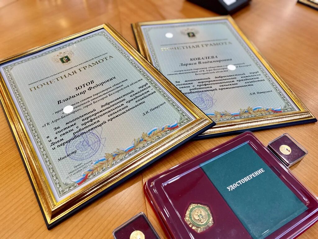 Награды министерства сельского хозяйства. Награды минсельхоза. Ведомственные награды министерства сельского хозяйства. Награды министерства сельского хозяйства. Вручение медалей за отличную учебу.