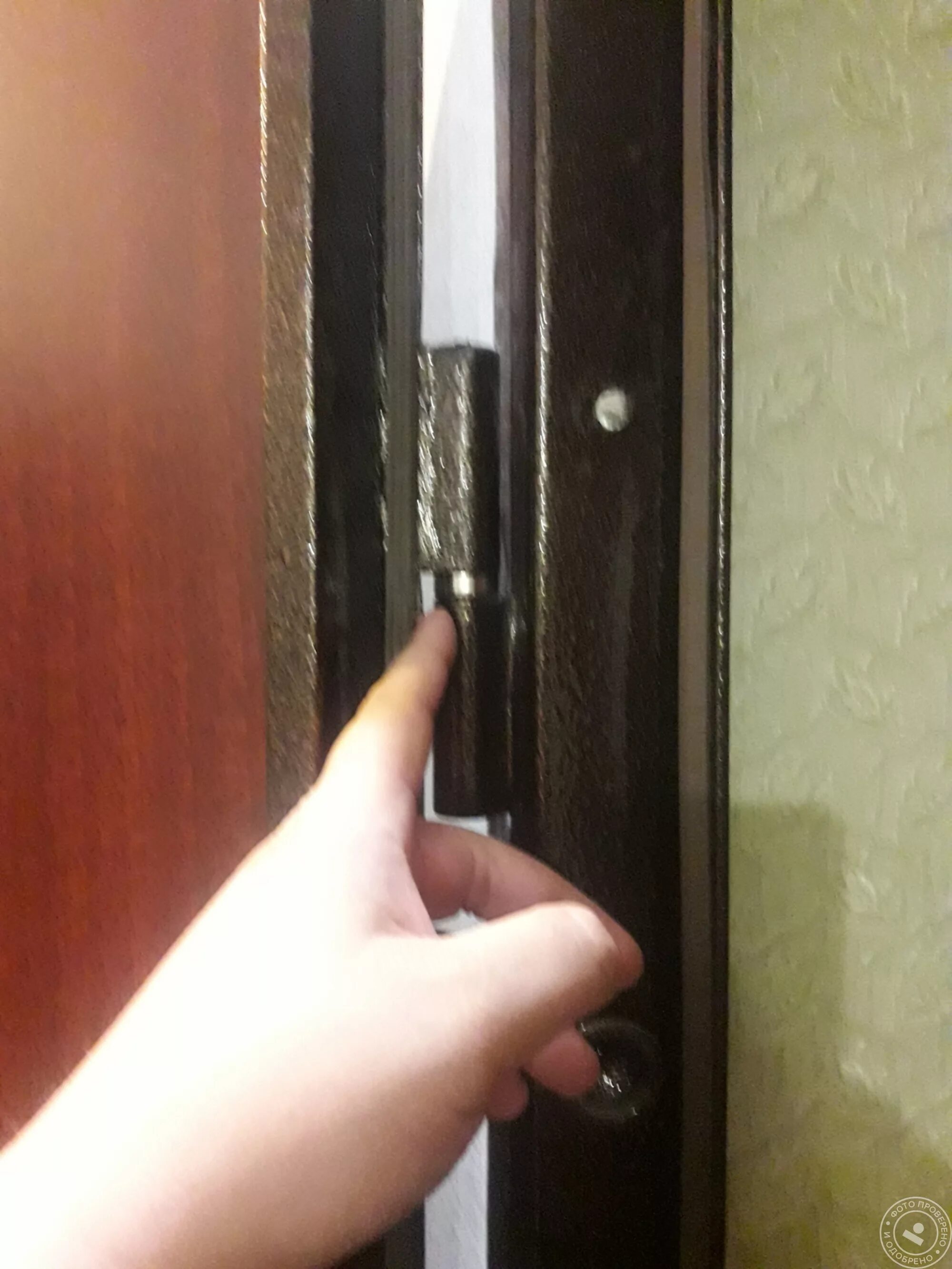 Забываю закрыть входную дверь. Регулируемый эксцентрик входной двери. просела дверь входная металлическая. перекос двери. перекос входной металлической двери.