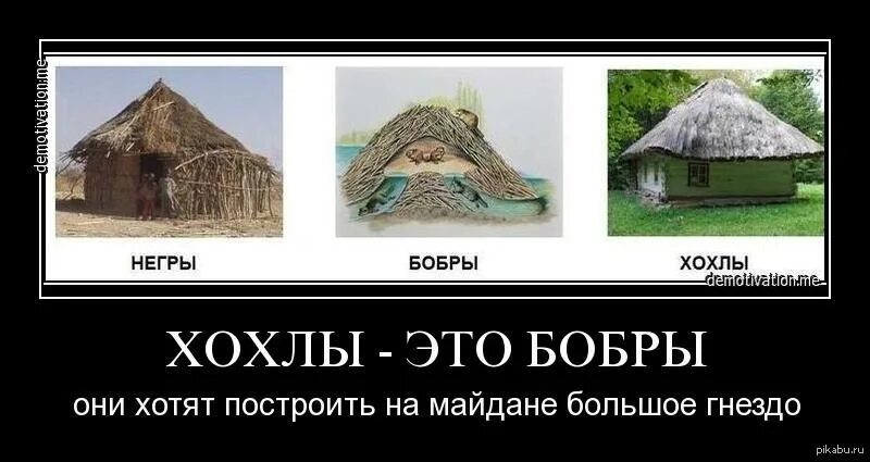 Это сделали хохлы. Демотиваторы на украинском языке. Хохлы демотиваторы. Хохол бобер. Тупые хохлы картинки с надписями прикольные.