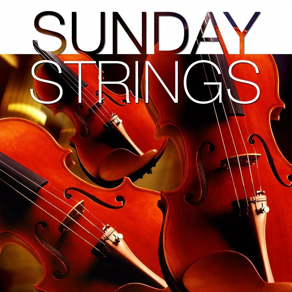 101 strings. Orchestral strings. string orchestra. red string orchestra.