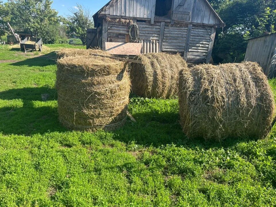 2 тонны сена. Сено. Тюк сена. Сено фото. Фотосессия с сеном.