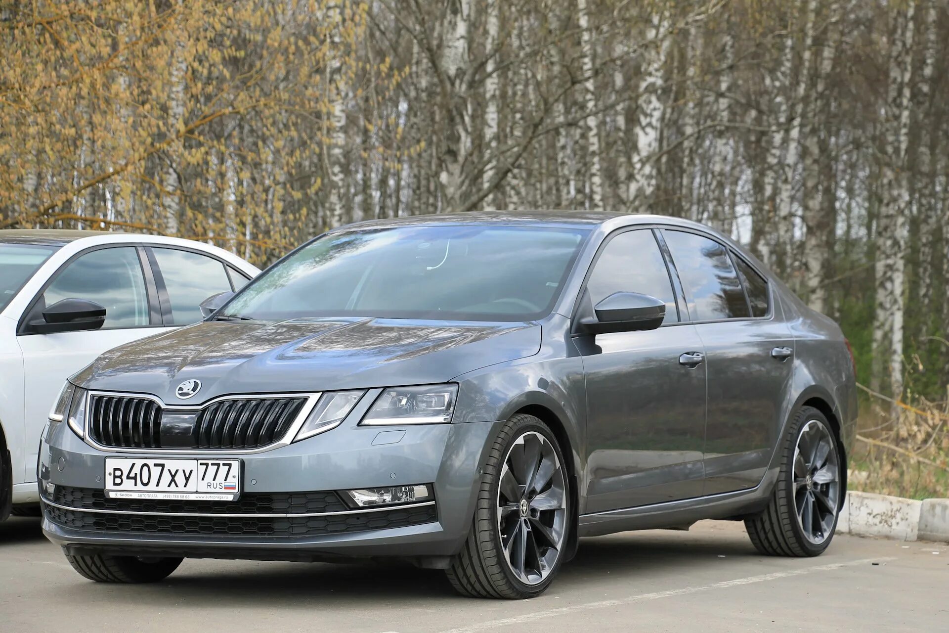 Skoda Octavia a8 серая. Купить октавию а 8