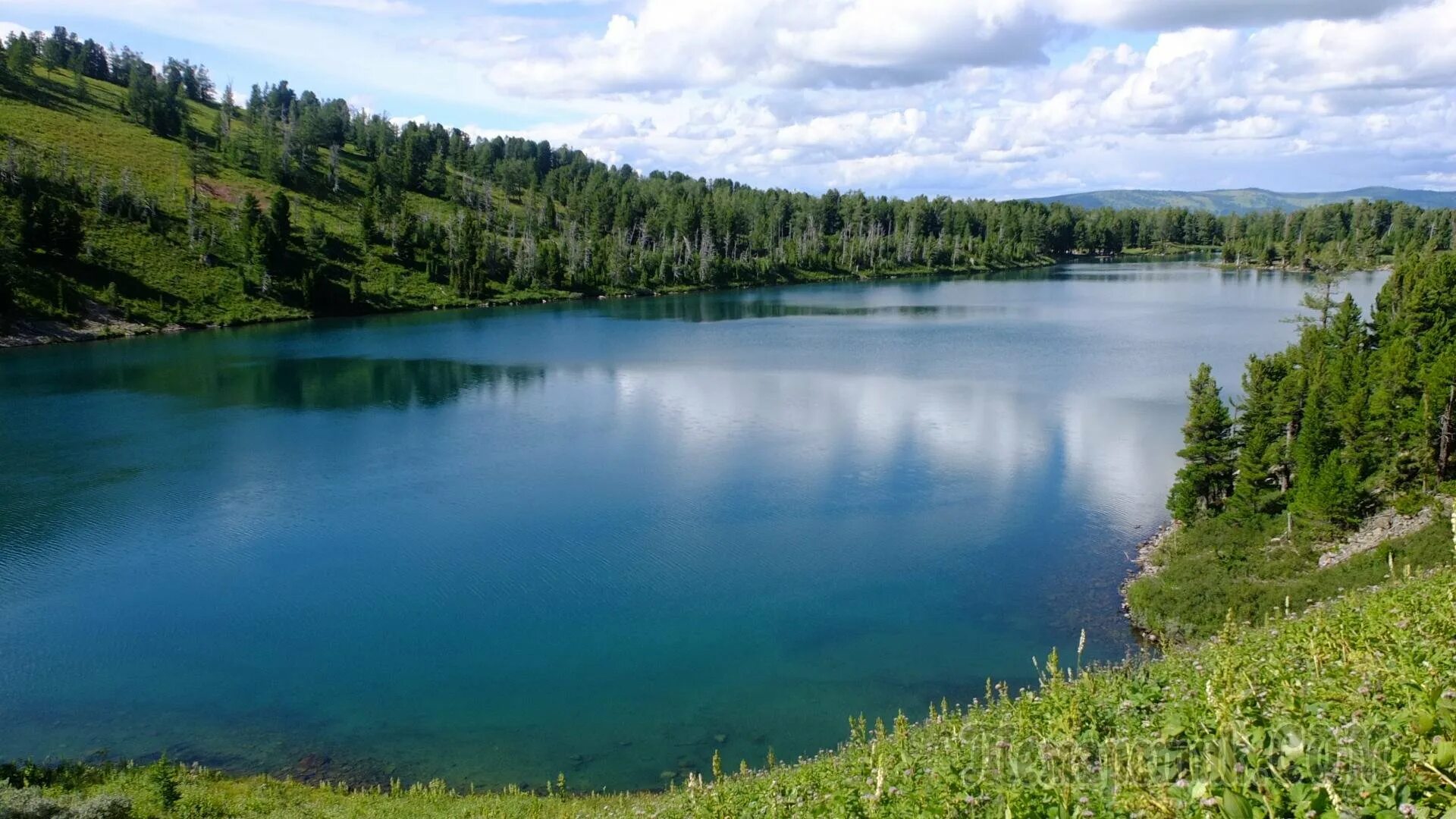 Озеро русское чистые пруды. Небольшое озеро. Красивые водоемы. У озера.