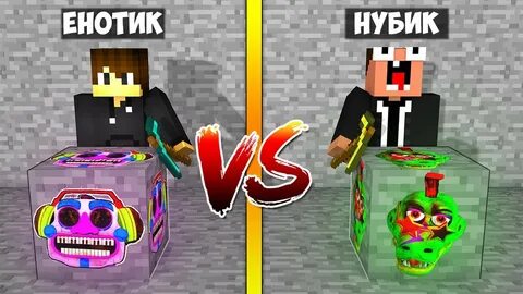Видео енота и нубика
