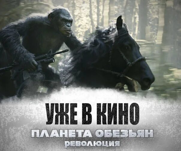 Планета обезьян москва калужское шоссе. Коба Планета обезьян. Планета обезьян зоопарк Калужское шоссе. Планета обезьян революция.