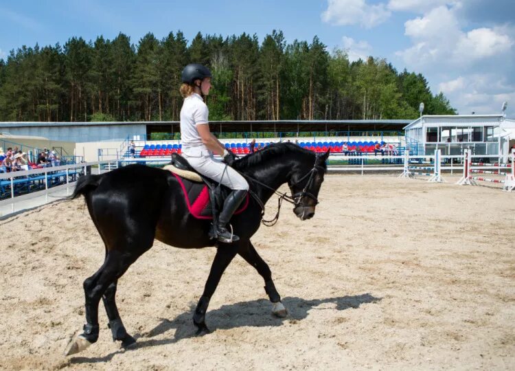 КСК белая лошадь. КСК Петрозаводск. Конно-спортивный клуб «белая лошадь». КСК белая лошадь Екатеринбург.