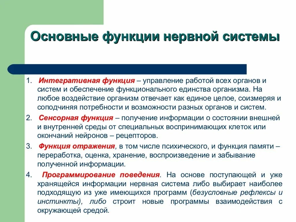 Основная функция центральной нервной системы. Главные функции нервной системы. функции центральной нервной системы. интегративной функции цнс. функция нервний система.