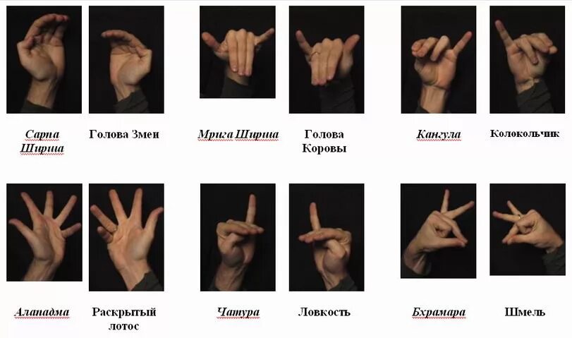 Речь руками как называется. Знаки руками название. жесты символы. индийские жесты. хасты для рук.
