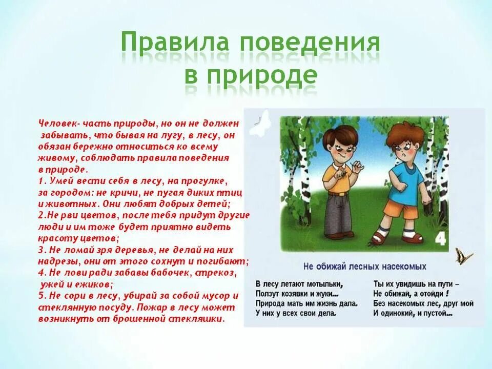 Рассказ как вести себя в лесу. Правилаповеденияявприроде. Правила поведения на природе. Пять правил поведения на природе. Правила поведения человека в природе.