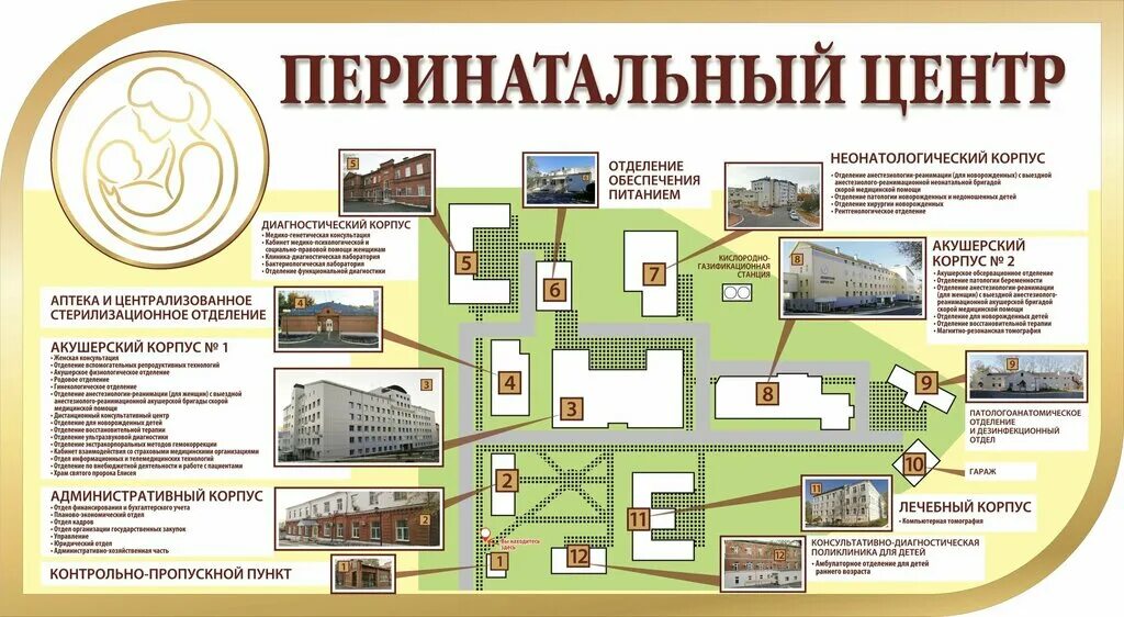 Сайт перинатального центра хабаровск. Перинатальный центр Киров корпуса. Перинатальный центр Киров схема корпусов. Перинатальный центр Киров 7 корпус. Перинатальный центр Хабаровск 8 корпус.