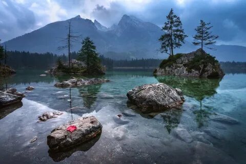 Форест вода