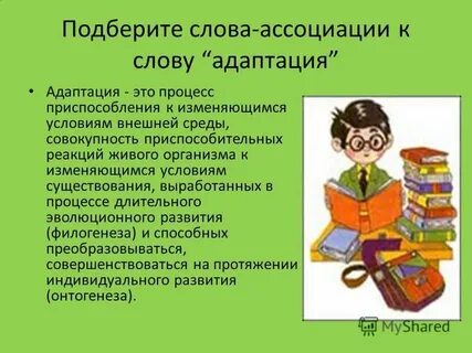 Слово адаптация