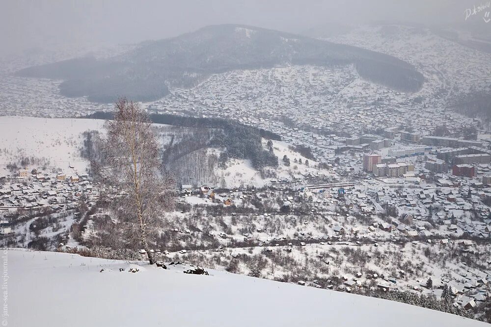 Гора комсомолка Горно-Алтайск. Гора тугая Горно-Алтайск высота. Горнолыжный комплекс тугая, Горно-Алтайск. Гора тугая Горно-Алтайск вид со смотровой площадки.