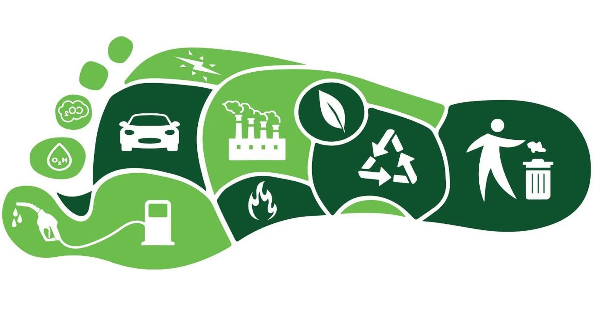 Carbon footprint. Углеродный след. Экологический след. Снижение углеродного следа. The government to reduce