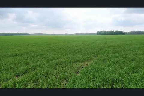 Продам участок ростовская область