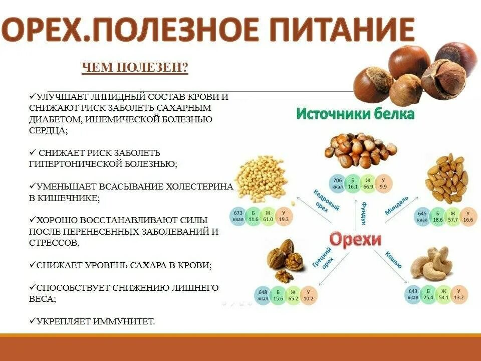 Польза орехов. Чем полезны орехи. Полезные орехи для организма. Орехи для диабетиков. Сколько орехов можно детям