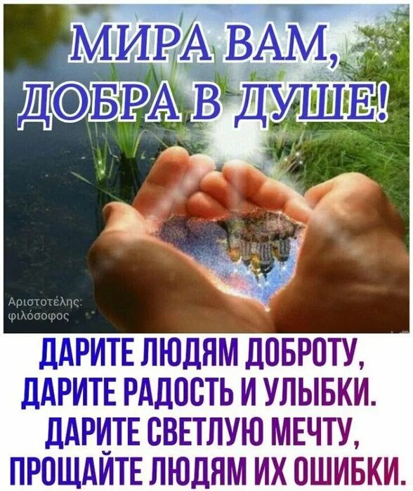 Подарить добро людям. Дарите доброту. Дарите доброту души. Дарить добро людям. Дарите доброту души друг другу Дарите доброту души другим.