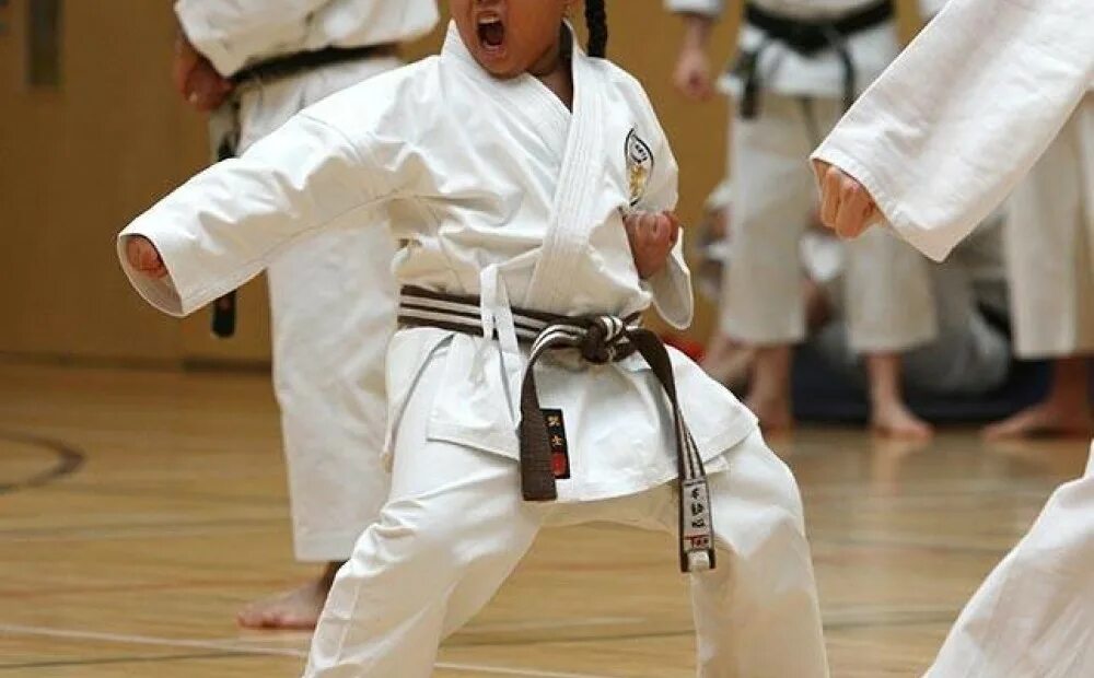 Шотокан каратэ-до кумитэ. Шаркман карате. Учение карате. Мохаммад мехди чемпион по карате. Karate wkf.