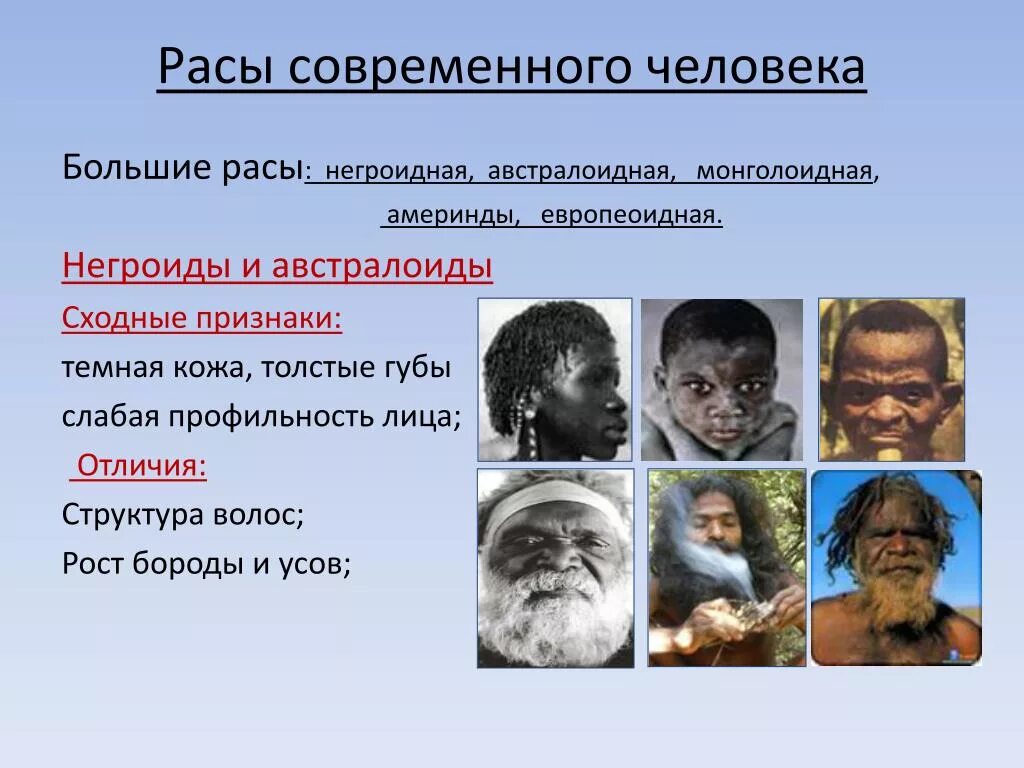 Австралоиды и негроиды. Монголоиды, негроиды, Европеоиды и австралоиды. Америнды австралоиды. Современные расы человечества.