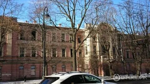 Институт мозга человека ран санкт петербург