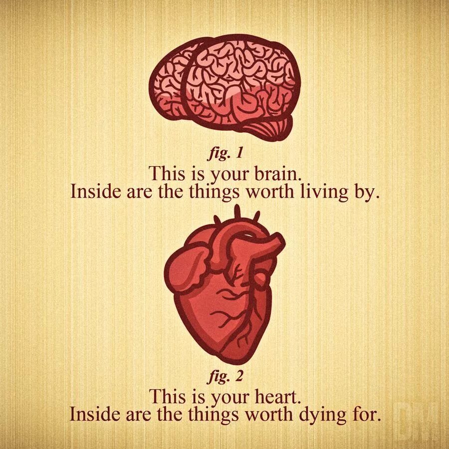 Heart and brain