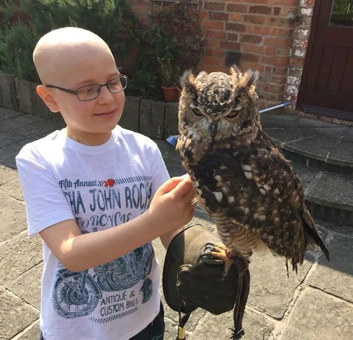 Человек сова. Человек с филином. Сова мальчик. Совиное антикафе. Совиный мальчик.