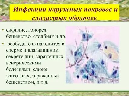 Возбудители кожи