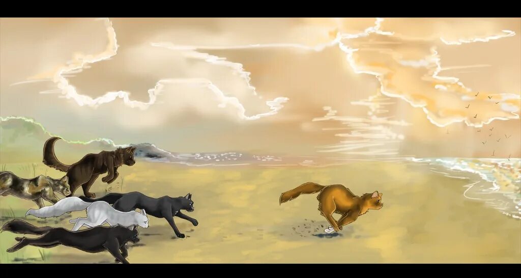 Коты воители рыжинка и грач. Солнцезвёзд коты воители. Коты воители рыжинка и грач. Коты воители огонёк. Коты воители солнце.