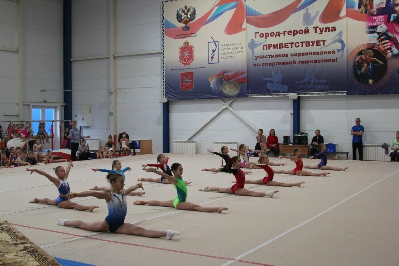 Школа олимпийского резерва тула. С днем гимнастики. Спортивная школа олимпийского резерва Тула спортивная гимнастика. Всемирный день гимнастики.