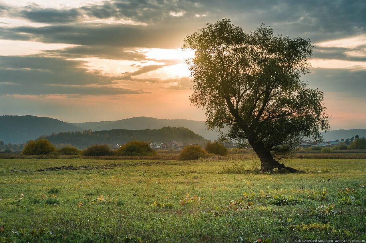 Природа Самарской области. Пейзажи Самарской Луки. Рощинский Самарская область пейзажи. Ландшафт Поволжья. Природные объекты поволжья