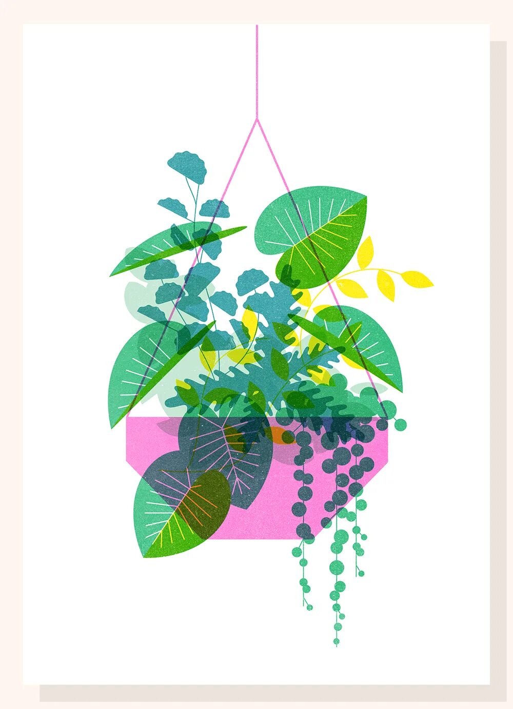 Plant series. Растения дизайн графический. Растения Flat иллюстрация. Флэт иллюстрации цветов. Комнатные растения плоский дизайн.