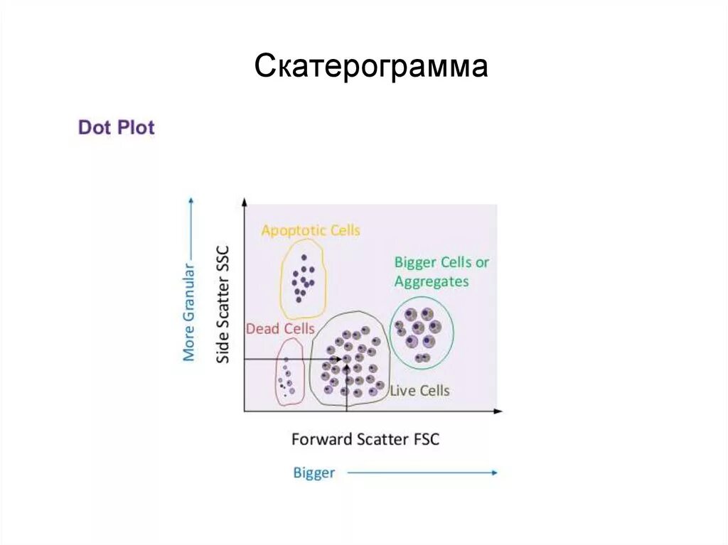 Скатерограмма. Скатерограмма. Скатерограмма. Скатерограмма. Скатерограмма.