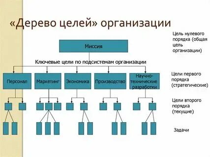 Структура целей организации экономика