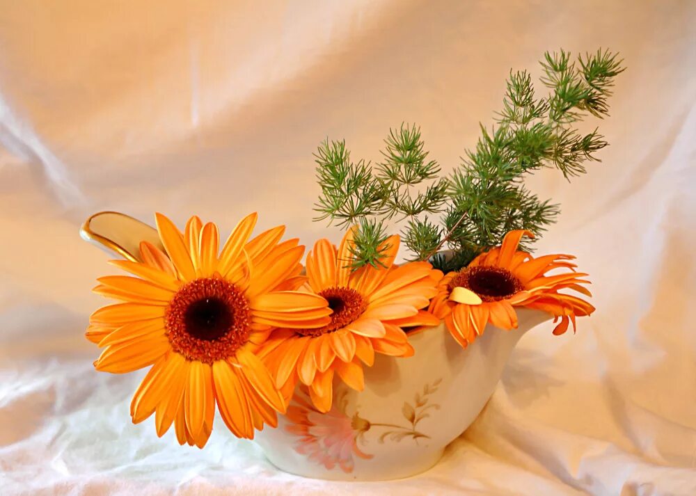 Хорошего дня благополучия и добра. Добрые пожелания. Герберы с добрыми пожеланиями. Доброе утро оранжевые цветы. Красивые теплые пожелания.