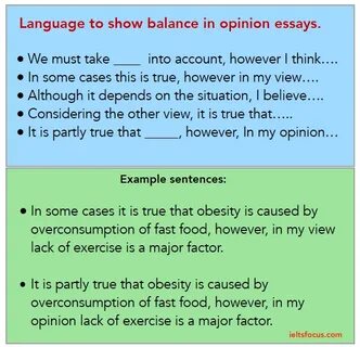 Opinion essay example