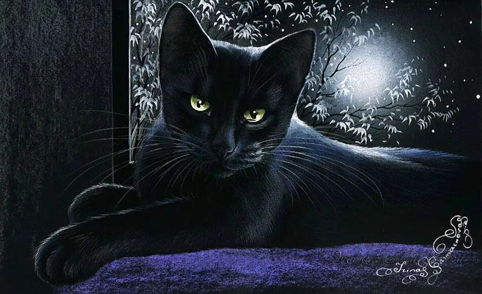 Художница Irina Garmashova-Cawton. Чёрные коты Ирины Гармашовой. Кошки художницы Ирины Гармашовой. Песня кошка ночь