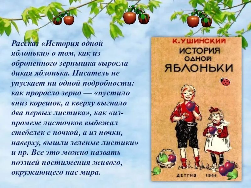 История одной яблоньки. История одной яблоньки Ушинский. Рассказ Ушинского Яблонька. Рассказ Дикая Яблонька.