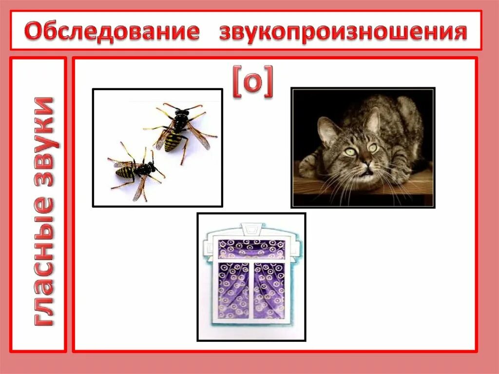 Обследование звука. Обследование звукопроизношения гласных звуков. последовательность обследования звукопроизношения.