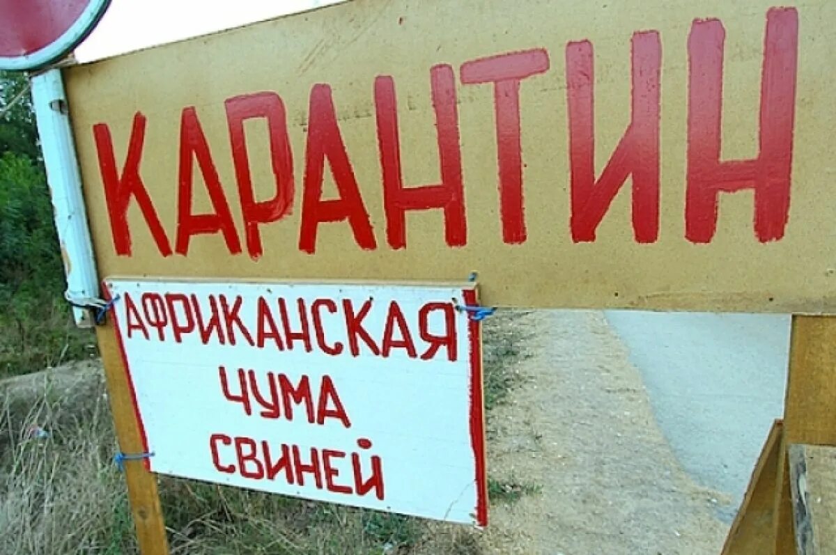 Карантин окончен картинки. Карантин отменен. Карантин окончен. Карантин по бешенству. Карантин надпись.