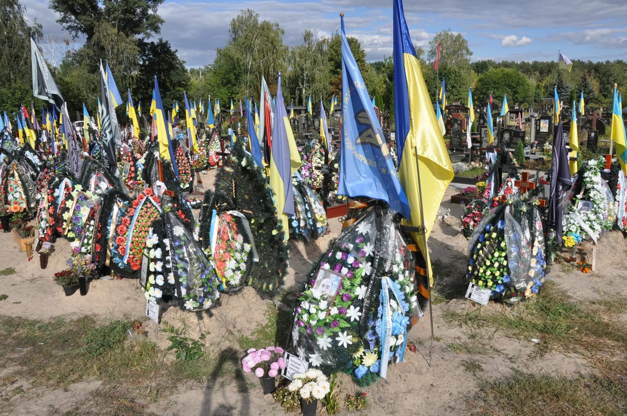 Украинские кладбища. Украинский флаг. Киев. Над  озерним  майорить  прапор  України.