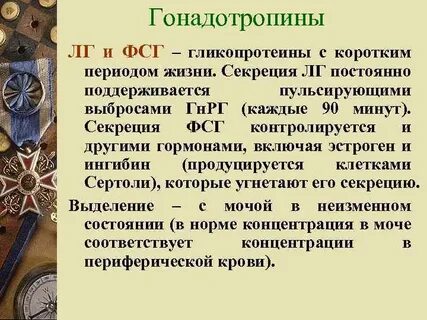 Гонадотропин гормон