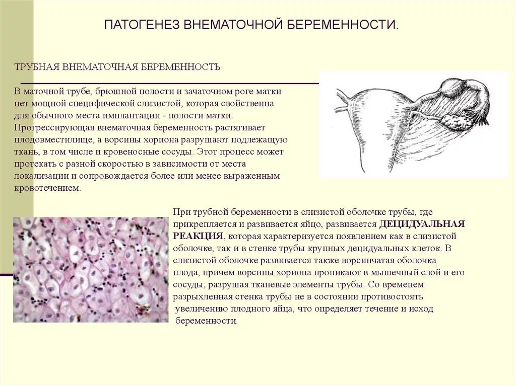 Изменение эпителия матки