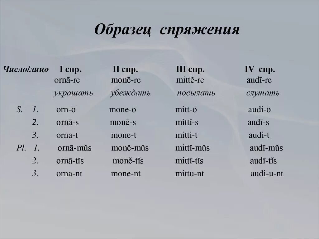 4 Спряжения глаголов в латинском языке. Как определить спряжение глагола в латинском языке. Спряжение латинских глаголов. Глаголы 1 спряжение в латинском языке таблица. Цвести формы глагола