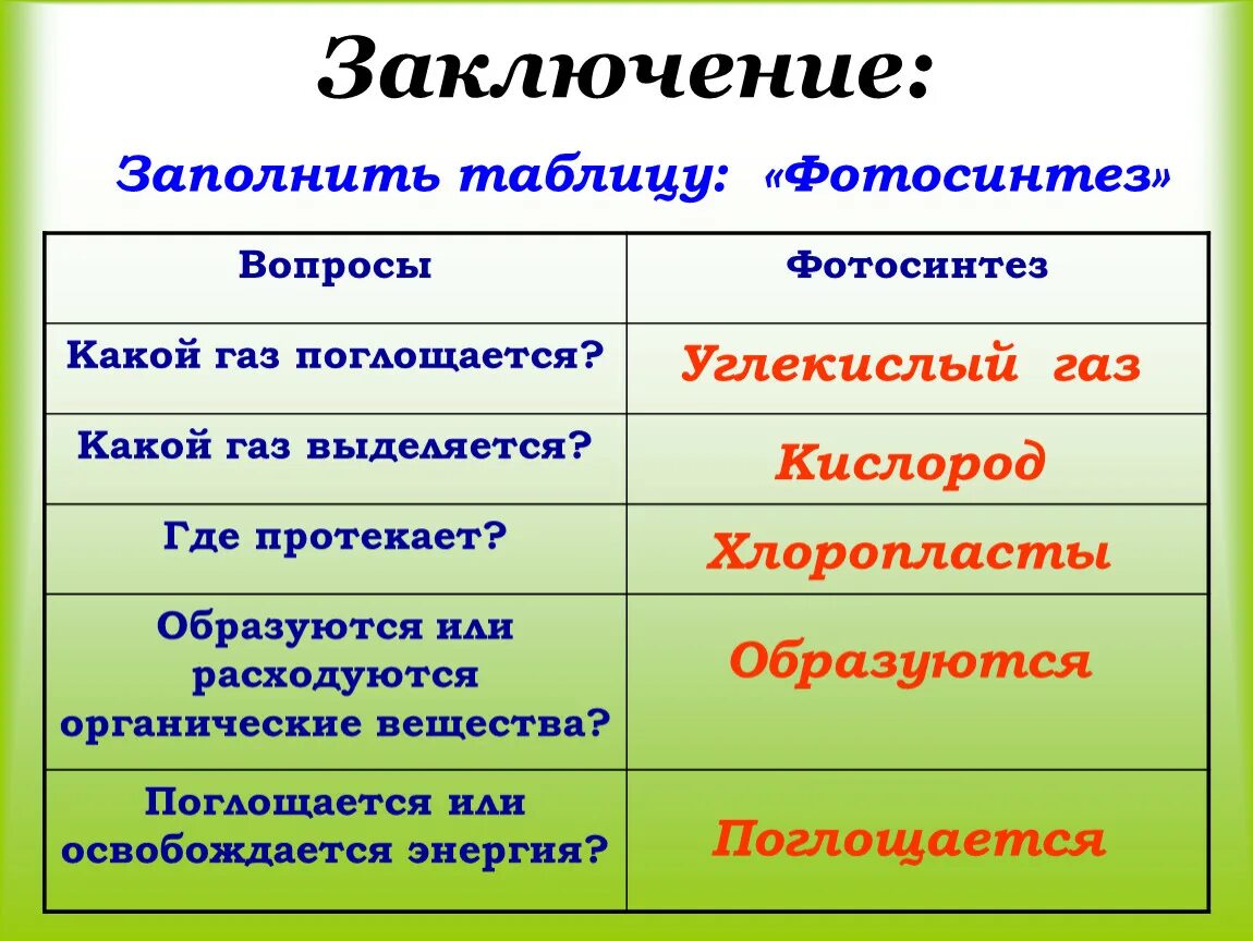 Какой газ поглощается при фотосинтезе растений