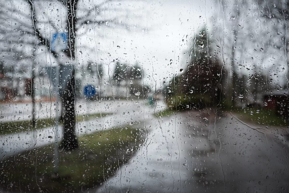 Т п дождь. Дождливый день. Пасмурный дождливый день. Пасмурно дождь. Ненастный день.