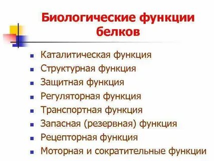 Основные функции биологической системы