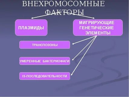 Генетические элементы плазмиды