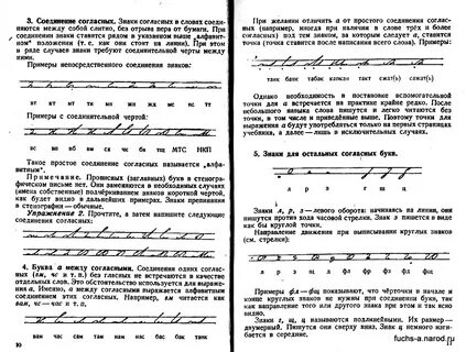 Стенография почек