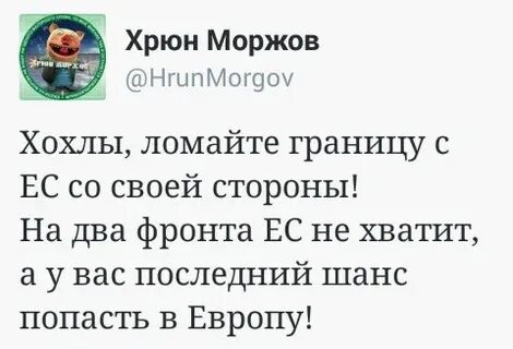 Хрюн моржов