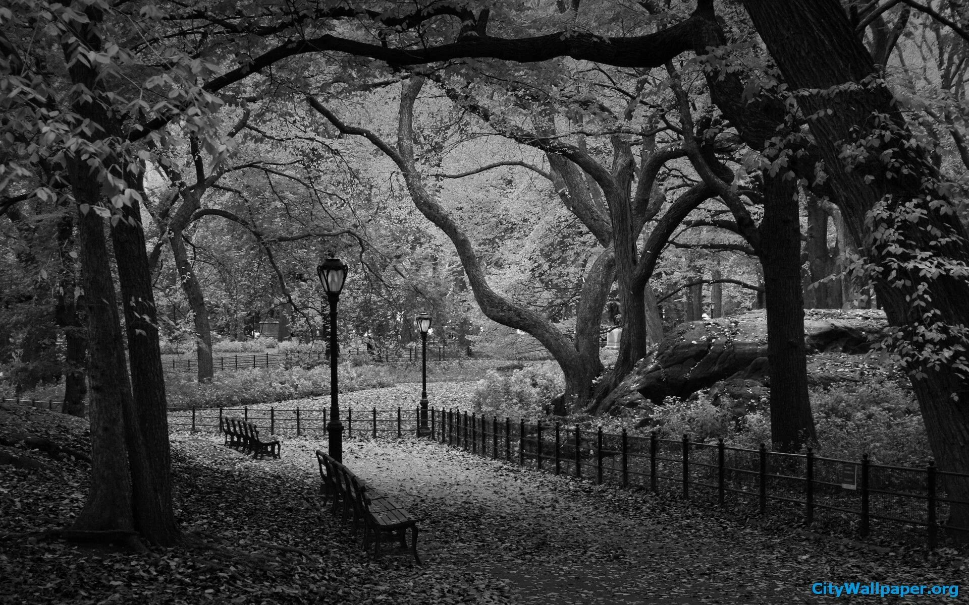 Autumn Bench by Theresa Elvin, via Flickr Белый обои, Черно-белое, Фотографии